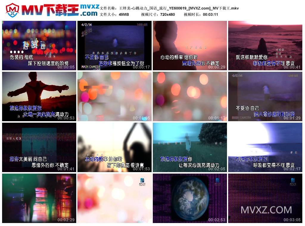 王绎龙-心跳动力_国语_流行_YE600619